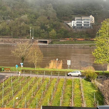 Hakans Moselblick Ferienwohnung Treis-Karden Zewnętrze zdjęcie